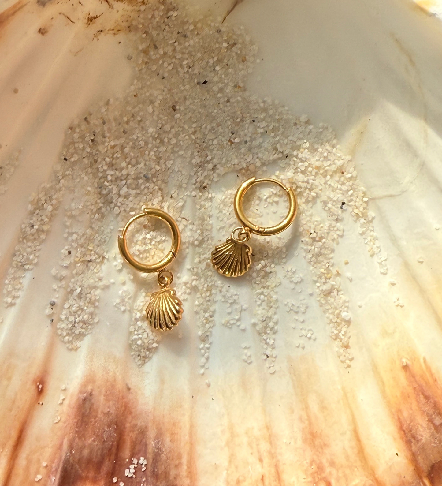 Shell Charm