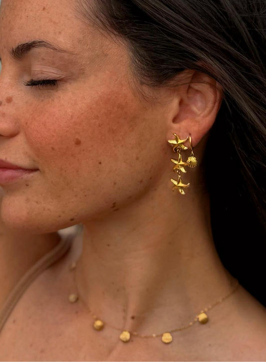 Seastar Cascade Studs