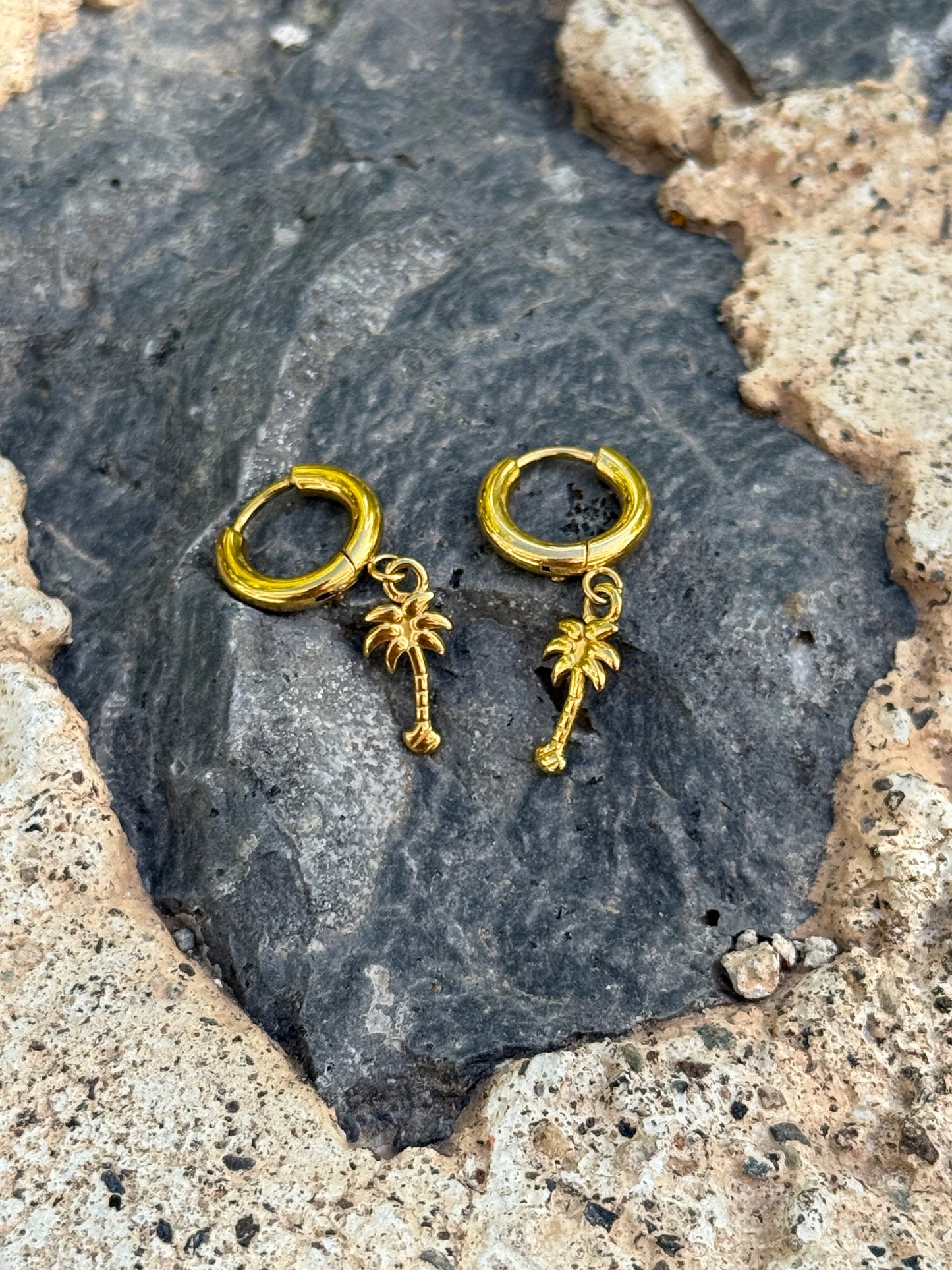 Palmera Hoops