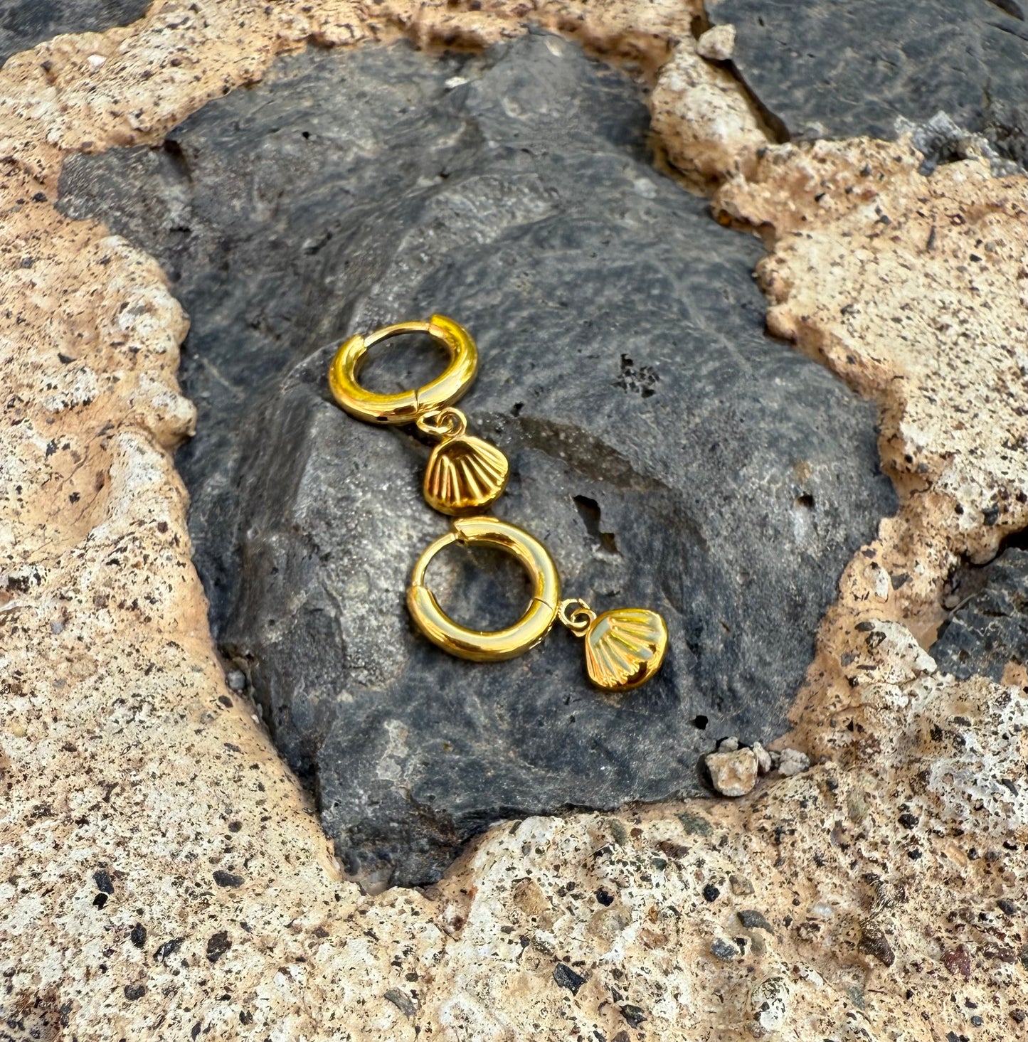Conchita Hoops