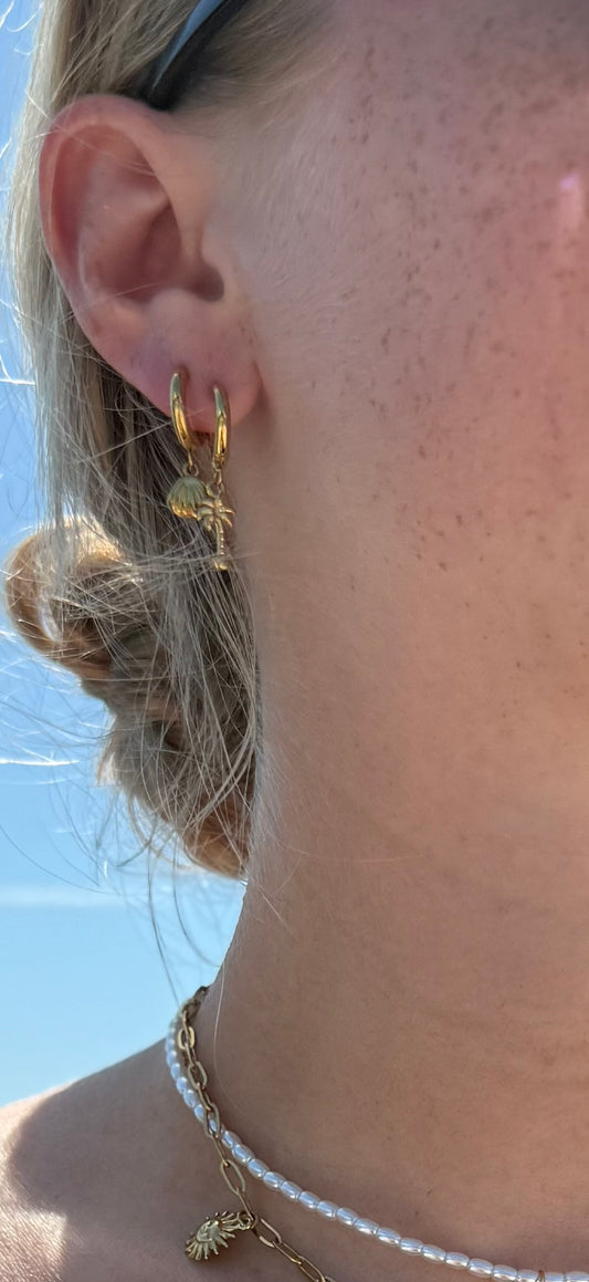 Palmera Hoops