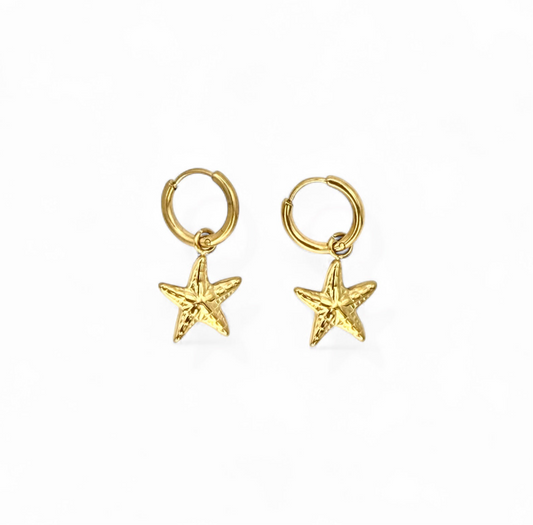 Solmar Hoops