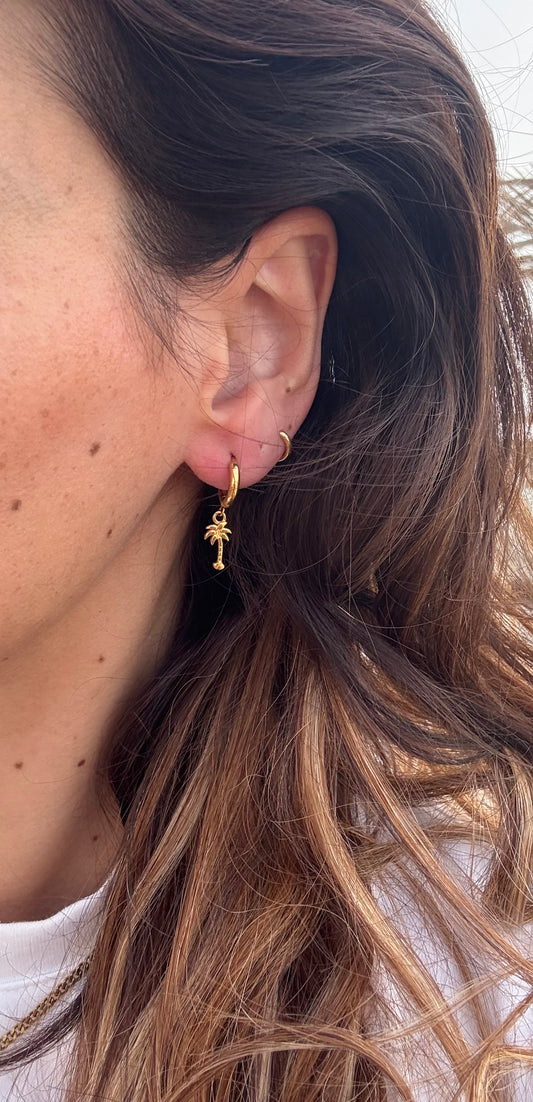 Palmera Hoops