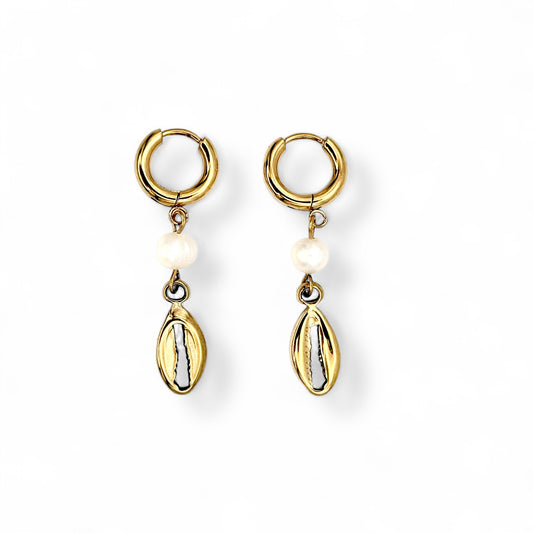 Sirena Shells